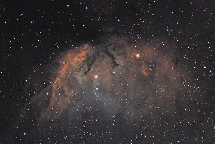 Tulip Nebula